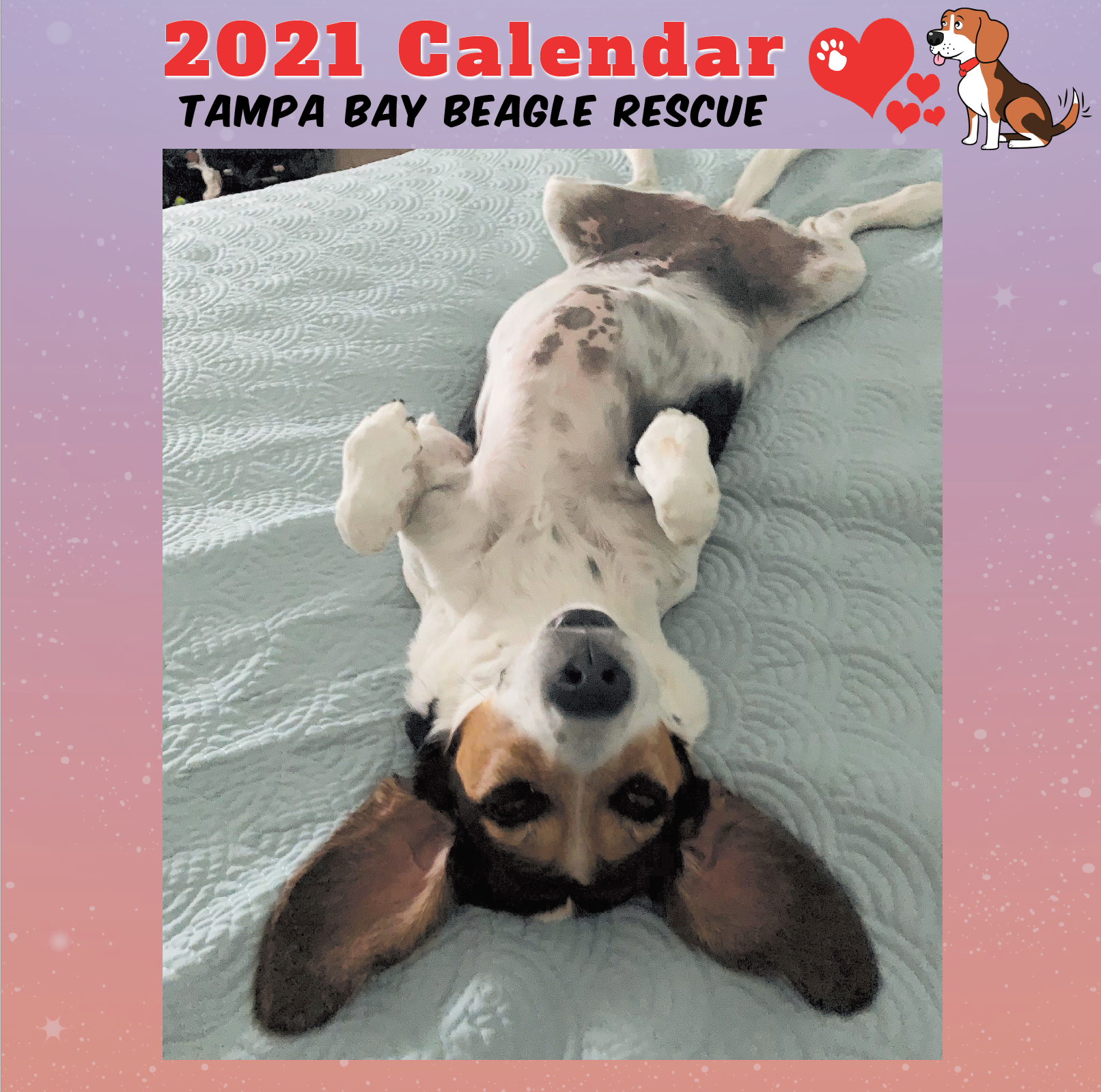 2021 Calendar Cover